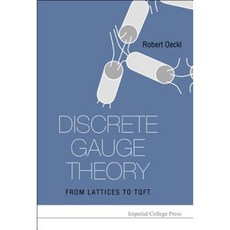 Discrete Gauge Theory: From Lattices to Tqft Hardcover, Imperial College Press