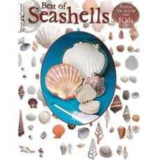 Best of Seashells: Projects for Adults and Kids Paperback, Design Originals