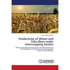 Productivity of Wheat and Faba Bean Under Intercropping System Paperback, LAP Lambert Academic Publishing