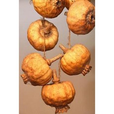 Decorative Dried Poppy Flowers Plant Journal: 150 Page Lined Notebook/Diary Paperback, Createspace Independent Publishing Platform