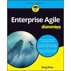 Enterprise Agility for Dummies Paperback