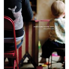 Animals Are Outside Today Hardcover, Radius Books