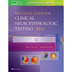 Practical Guide for Clinical Neurophysiologic Testing: Eeg Paperback, LWW