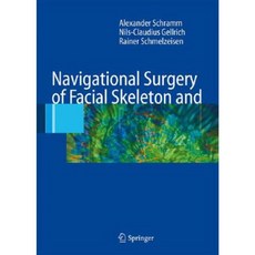 Navigational Surgery of the Facial Skeleton Hardcover, Springer