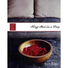 Feng Shui in a Day Paperback, Red Wheel