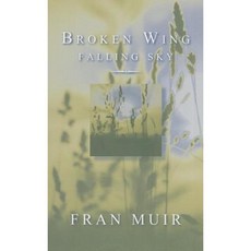 Broken Wing Fallen Sky Paperback, Turnstone Press