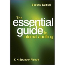 The Essential Guide to Internal Auditing Paperback, Wiley