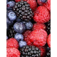 Mixed Berries Notebook Paperback, Createspace Independent Publishing Platform