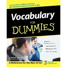 Vocabulary for Dummies Paperback