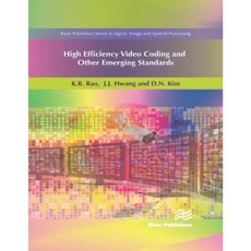 高效視訊編碼和其他新興標準精裝本, 河流出版社