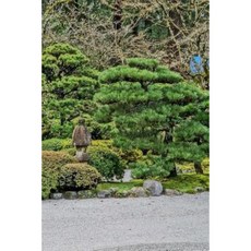 Japanese Garden Notebook Paperback, Createspace Independent Publishing Platform