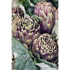 Gorgeous Fresh Artichokes at a Farmer's Market Journal: 150 Page Lined Notebook/Diary Paperback, Createspace Independent Publishing Platform