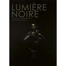 Lumiere Noire: New Art from France Paperback, Walther Konig Verlag