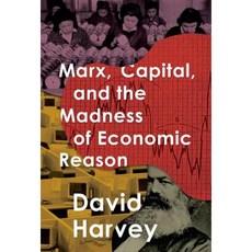 Marx Capital and the Madness of Economic Reason Hardcover, Oxford University Press, USA