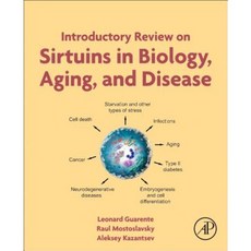 Introductory Review on Sirtuins in Biology Aging and Disease Paperback, Academic Press