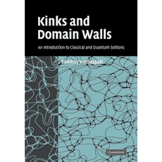 Kinks and Domain Walls: An Introduction to Classical and Quantum Solitons Paperback, Cambridge University Press