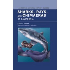 Sharks Rays and Chimaeras of California Paperback, University of California Press