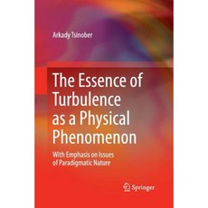 The Essence of Turbulence as a Physical Phenomenon: With Emphasis on Issues of Paradigmatic Nature Paperback, Springer