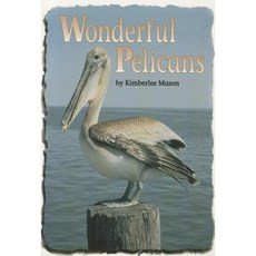Comprehension Power Readers Wonderful Pelicans Grade 2 Single 2004c Paperback, Modern Curriculum Press