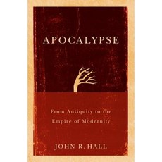 Apocalypse: From Antiquity to the Empire of Modernity Paperback, Polity Press