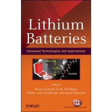 Lithium Batteries: Advanced Technologies and Applications 精裝版, Wiley