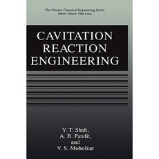 空化反應工程精裝, 施普林格