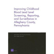 Improving Childhood Blood Lead Level Screening Reporting and Surveillance in Allegheny County Pennsylvania Paperback, RAND Corporation