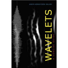 Wavelets: A Concise Guide Paperback, Johns Hopkins University Press