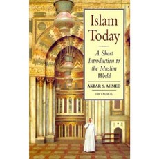 Islam Today: A Short Introduction to the Muslim World Paperback, I. B. Tauris & Company