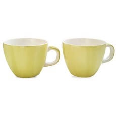 Eco Love Sahaenmi 卡布奇諾雙人馬克杯組, 綠色, 2個