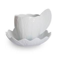 Jaquefergei市場花葉茶罐, 單色, 1套