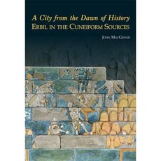 A City from the Dawn of History: Erbil in the Cuneiform Sources Paperback