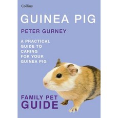 Guinea Pig (Collins Family Pet Guide) Paperback, Collins Publishers