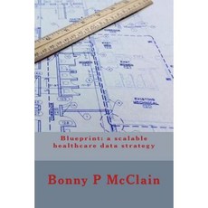 Blueprint: A Scalable Healthcare Data Strategy Paperback, Createspace Independent Publishing Platform
