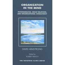 Organization in the Mind: Psychoanalysis Group Relations and Organizational Consultancy Paperback, Karnac Books