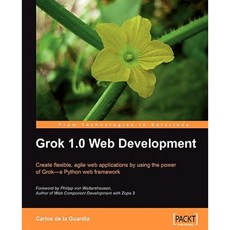 Grok 1.0 Web Development Paperback, Packt Publishing