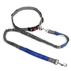 免持寵物牽繩, 藍色