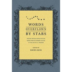 Words Overflown by Stars: Creative Writing Instruction and Insight from the Vermont College Mfa Program Paperback, Story Press Books