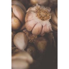 Dried Garlic Cloves: 150 Page Lined 6 X 9 Notebook/Diary/Journal Paperback, Createspace Independent Publishing Platform