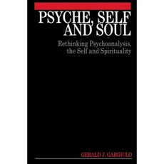 Psyche Self and Soul: Rethinking Psychoanalysis the Self and Spirituality 平裝版, Wiley
