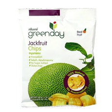 greenday 잭푸룻 과일칩, 40g, 1개