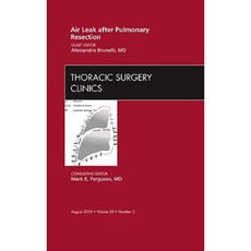 Air Leak After Pulmonary Resection: Number 3 Hardcover, Saunders