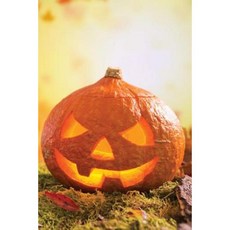 Autumn Jack-O-Latern Journal: 365 Day Journal Diary Notebook Paperback, Createspace Independent Publishing Platform