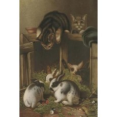 Journal: Rabbits & Kittens Paperback, Createspace Independent Publishing Platform