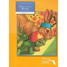 Florida Trophies Practice Book on Your Mark Grade 3 Volume Two Paperback, Harcourt School Publishers