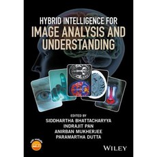 用於影像分析和理解精裝的混合智能, 威利