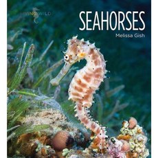 Seahorses Hardcover, Creative Education