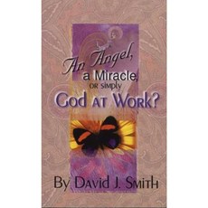 An Angel a Miracle or Simply God at Work? Mass Market Paperbound, CLC Publications