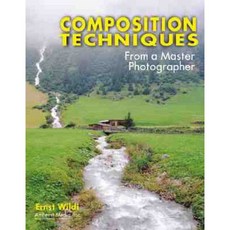 Composition Techniques from a Master Photographer Paperback, Amherst Media
