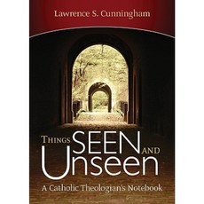 Things Seen and Unseen: A Catholic Theologian's Notebook Hardcover, Sorin Books